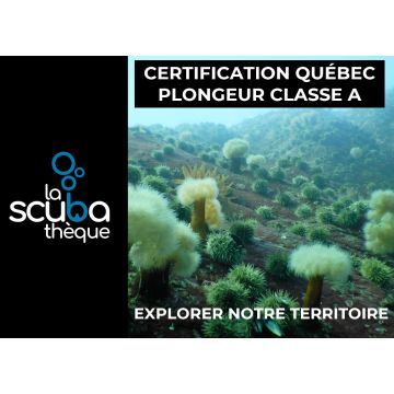 Certification permis du Québec Classe A  - Sur demande (pour plongeur déjà certifié)