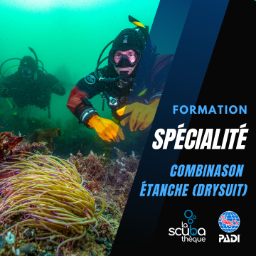 Plongée en Combinaison étanche (Drysuit) Spécialité PADI (Prochaine date 21 mai 2026)