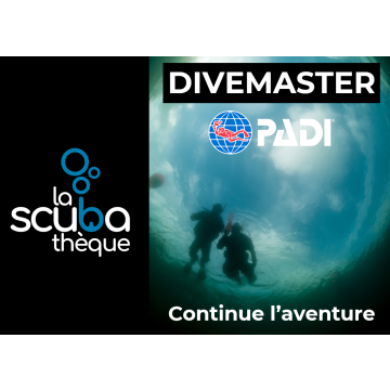 Divemaster PADI  Niveau Professionnel - Prochaine date 1er mai 2025
