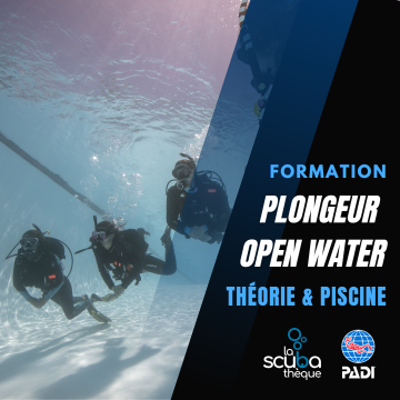 Plongeur Open Water PADI - Théorie & Piscine (sur fin de semaine - 2 jours)