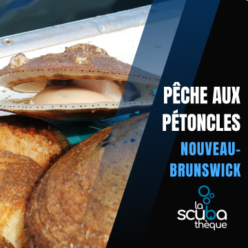 Pêche aux pétoncles, N.-B. 2026 - 7 au 9 août