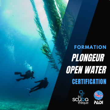 Certification Open Water PADI sur 2 jours (Permis Québec Classe A) 