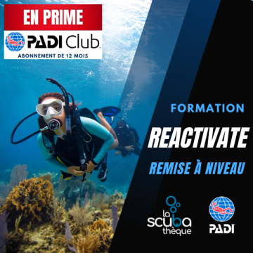 Remise à niveau - PADI ReActivate - Prochaine date le 24 janvier 2026