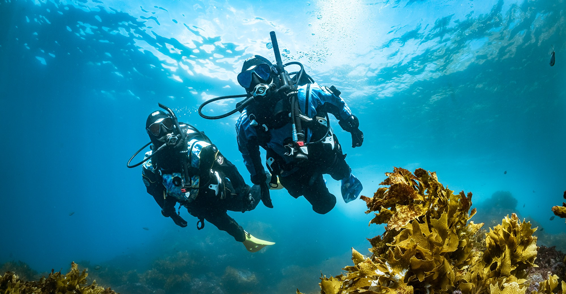 Scuba Diving